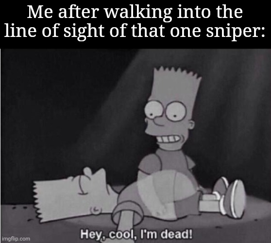 Hey, cool, I'm dead! | Me after walking into the line of sight of that one sniper: | image tagged in hey cool i'm dead,frost | made w/ Imgflip meme maker
