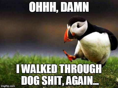 Unpopular Opinion Puffin | OHHH, DAMN I WALKED THROUGH DOG SHIT, AGAIN... | image tagged in memes,unpopular opinion puffin | made w/ Imgflip meme maker