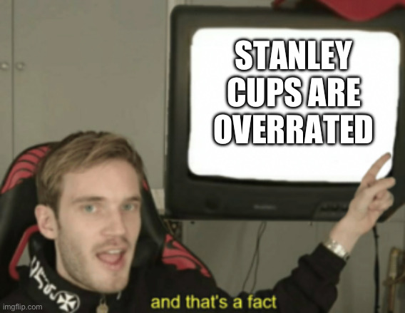 First image :) | STANLEY CUPS ARE OVERRATED | image tagged in and that's a fact | made w/ Imgflip meme maker