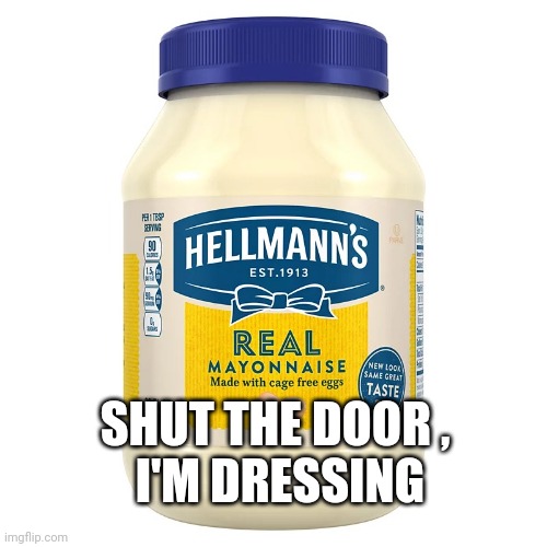 mayonnaise | SHUT THE DOOR ,
 I'M DRESSING | image tagged in mayonnaise | made w/ Imgflip meme maker