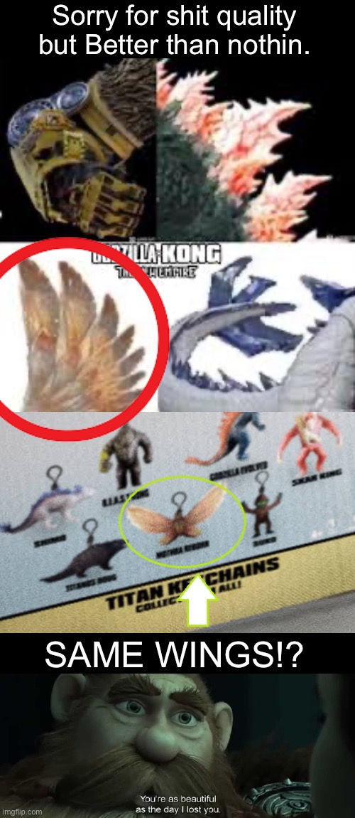 I found a new teaser that made me go: wait a minute… | Sorry for shit quality but Better than nothin. SAME WINGS!? | image tagged in hold the frick up,godzilla vs kong,godzilla,mothra | made w/ Imgflip meme maker