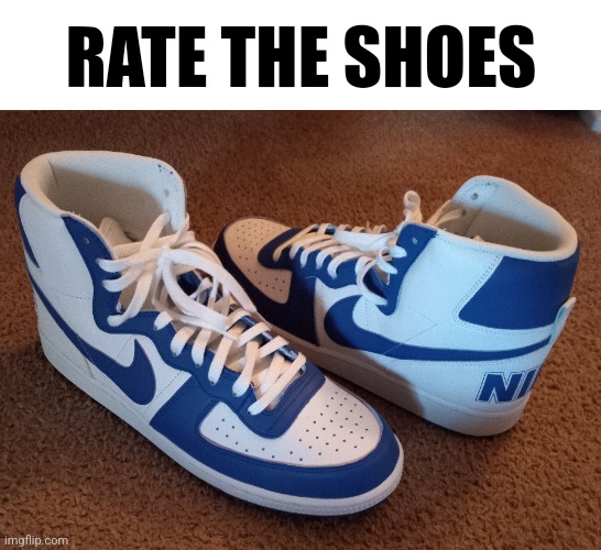 Don't mind the dirty ass carpet, and they are nike terminators | RATE THE SHOES | made w/ Imgflip meme maker