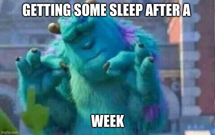 Sully shutdown | GETTING SOME SLEEP AFTER A; WEEK | image tagged in sully shutdown,memes,funny,relatable | made w/ Imgflip meme maker