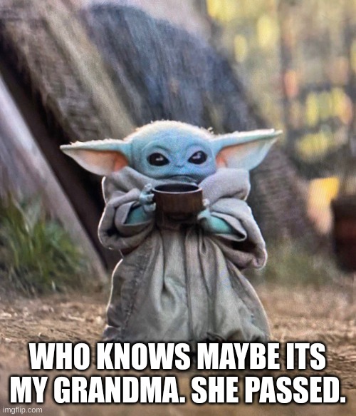 Baby Yoda drinking tea | WHO KNOWS MAYBE ITS MY GRANDMA. SHE PASSED. | image tagged in baby yoda drinking tea | made w/ Imgflip meme maker