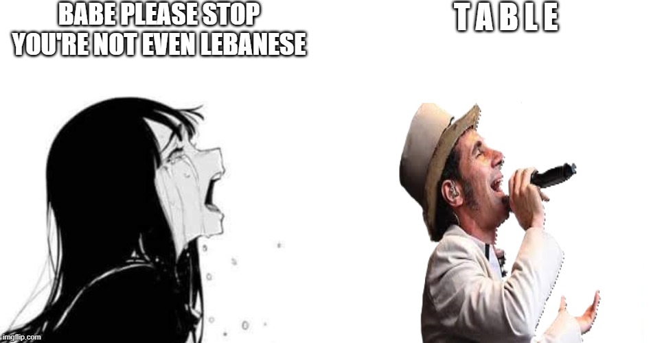 babe please | BABE PLEASE STOP YOU'RE NOT EVEN LEBANESE; T A B L E | image tagged in babe please | made w/ Imgflip meme maker