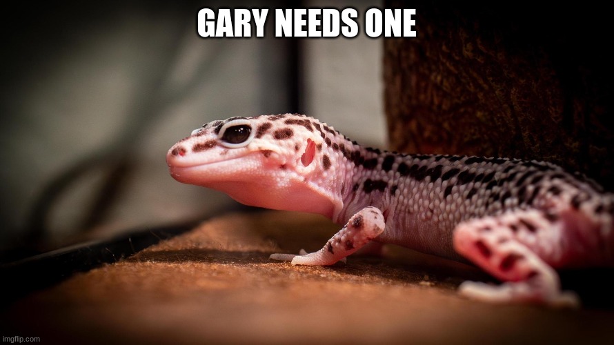 GARY NEEDS ONE | made w/ Imgflip meme maker