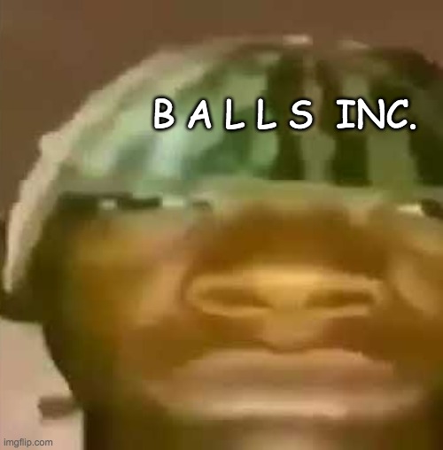 shitpost | B A L L S  INC. | image tagged in shitpost | made w/ Imgflip meme maker