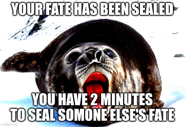 my friend wanted me to post this | YOUR FATE HAS BEEN SEALED; YOU HAVE 2 MINUTES TO SEAL SOMONE ELSE'S FATE | image tagged in shitpost,seal,msmg | made w/ Imgflip meme maker