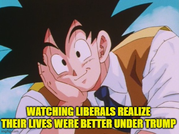 The Great Awakening Affects Everyone | WATCHING LIBERALS REALIZE THEIR LIVES WERE BETTER UNDER TRUMP | image tagged in memes,condescending goku | made w/ Imgflip meme maker