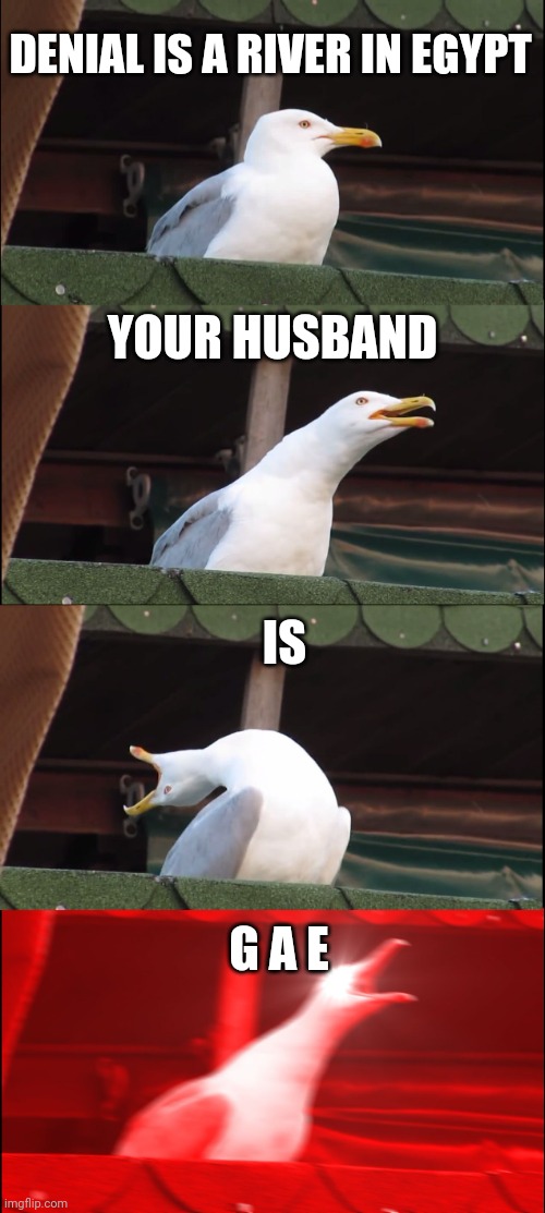 Inhaling Seagull Meme | DENIAL IS A RIVER IN EGYPT; YOUR HUSBAND; IS; G A E | image tagged in memes,inhaling seagull | made w/ Imgflip meme maker