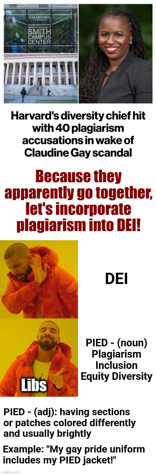 "You got plagiarism on my DEI!"  "You got DEI on my plagiarism!" | Because they apparently go together, let's incorporate plagiarism into DEI! DEI; PIED - (noun)
Plagiarism Inclusion
Equity Diversity; Libs; PIED - (adj): having sections
or patches colored differently
and usually brightly; Example: "My gay pride uniform
includes my PIED jacket!" | image tagged in memes,drake hotline bling,plagiarism,dei,democrats,harvard | made w/ Imgflip meme maker