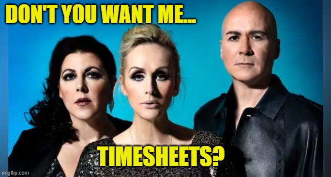 Human League Timesheet Reminder | DON'T YOU WANT ME... TIMESHEETS? | image tagged in human league,timesheet meme,timesheet reminder,memes,don't you want me baby | made w/ Imgflip meme maker
