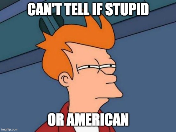 Futurama Fry Meme | CAN'T TELL IF STUPID; OR AMERICAN | image tagged in memes,futurama fry | made w/ Imgflip meme maker