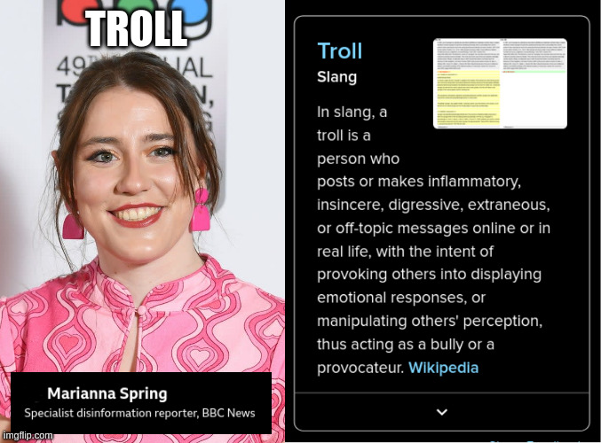 Troll | TROLL | image tagged in marianna spring,bbc,liar,disinformation specialist | made w/ Imgflip meme maker