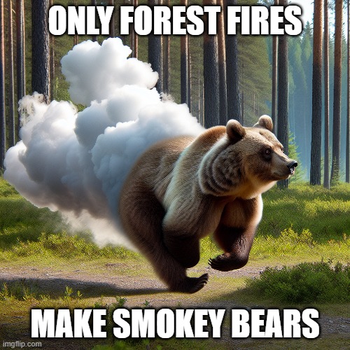 Smokey Bear | ONLY FOREST FIRES; MAKE SMOKEY BEARS | image tagged in smokey the bear | made w/ Imgflip meme maker