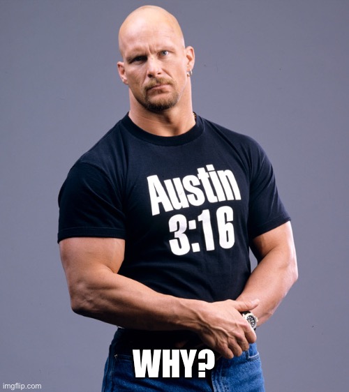 Stone Cold Steve Austin | WHY? | image tagged in stone cold steve austin | made w/ Imgflip meme maker