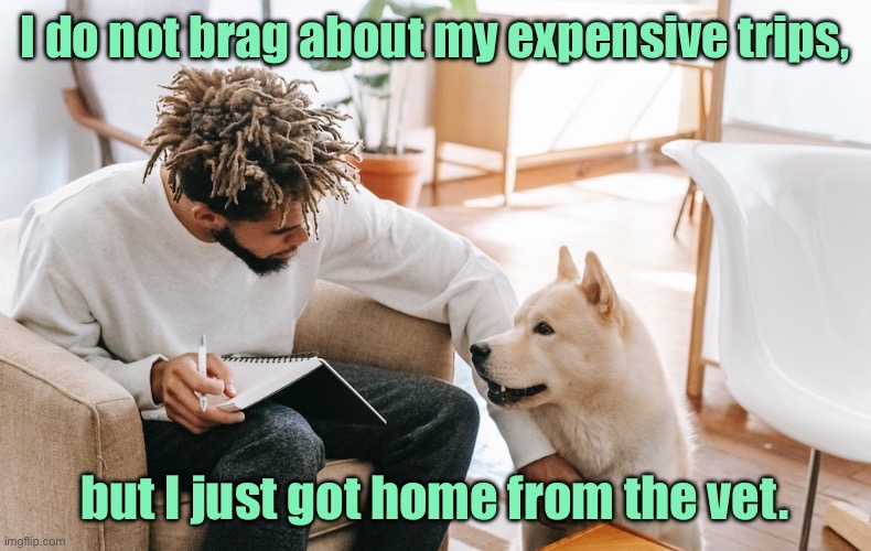 Vet bills | I do not brag about my expensive trips, but I just got home from the vet. | image tagged in man and dog,do not brag,expensive trips,just back,from vets | made w/ Imgflip meme maker