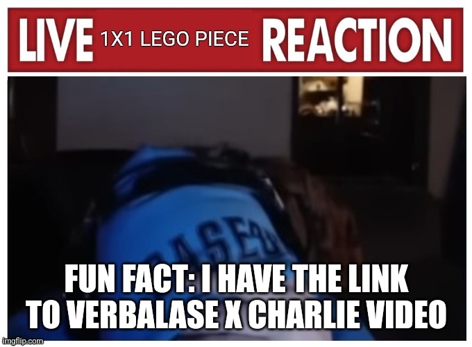 Live 1x1 LEGO piece Reaction | FUN FACT: I HAVE THE LINK TO VERBALASE X CHARLIE VIDEO | image tagged in live 1x1 lego piece reaction | made w/ Imgflip meme maker