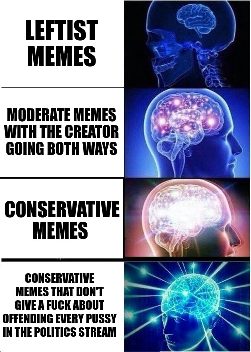 They're just words and opinions, so quit whining. | LEFTIST MEMES; MODERATE MEMES WITH THE CREATOR GOING BOTH WAYS; CONSERVATIVE MEMES; CONSERVATIVE MEMES THAT DON'T GIVE A FUCK ABOUT OFFENDING EVERY PUSSY IN THE POLITICS STREAM | image tagged in memes,expanding brain | made w/ Imgflip meme maker