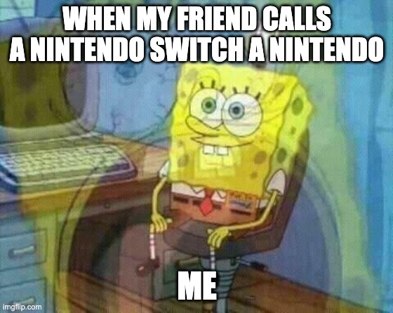 My friend in a nutshell | WHEN MY FRIEND CALLS A NINTENDO SWITCH A NINTENDO; ME | image tagged in spongebob panic inside,nintendo switch | made w/ Imgflip meme maker