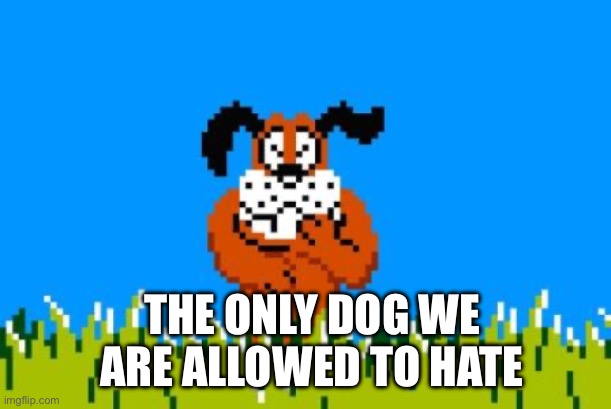 That Dog | THE ONLY DOG WE ARE ALLOWED TO HATE | image tagged in duck hunt dog | made w/ Imgflip meme maker