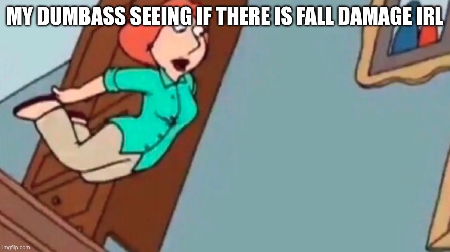 ouch | MY DUMBASS SEEING IF THERE IS FALL DAMAGE IRL | image tagged in lois falling down stairs | made w/ Imgflip meme maker