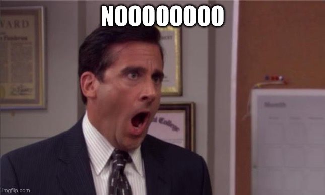 noooooo | NOOOOOOOO | image tagged in noooooo | made w/ Imgflip meme maker
