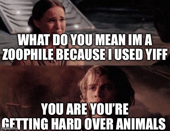Gjyg lore: | WHAT DO YOU MEAN IM A ZOOPHILE BECAUSE I USED YIFF; YOU ARE YOU’RE GETTING HARD OVER ANIMALS | image tagged in anakin you're breaking my heart,shitty meme | made w/ Imgflip meme maker