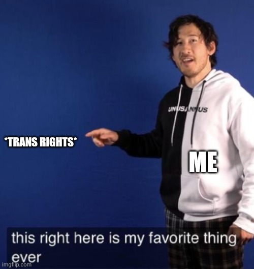 This right here is my favorite thing ever | ME; *TRANS RIGHTS* | image tagged in this right here is my favorite thing ever | made w/ Imgflip meme maker