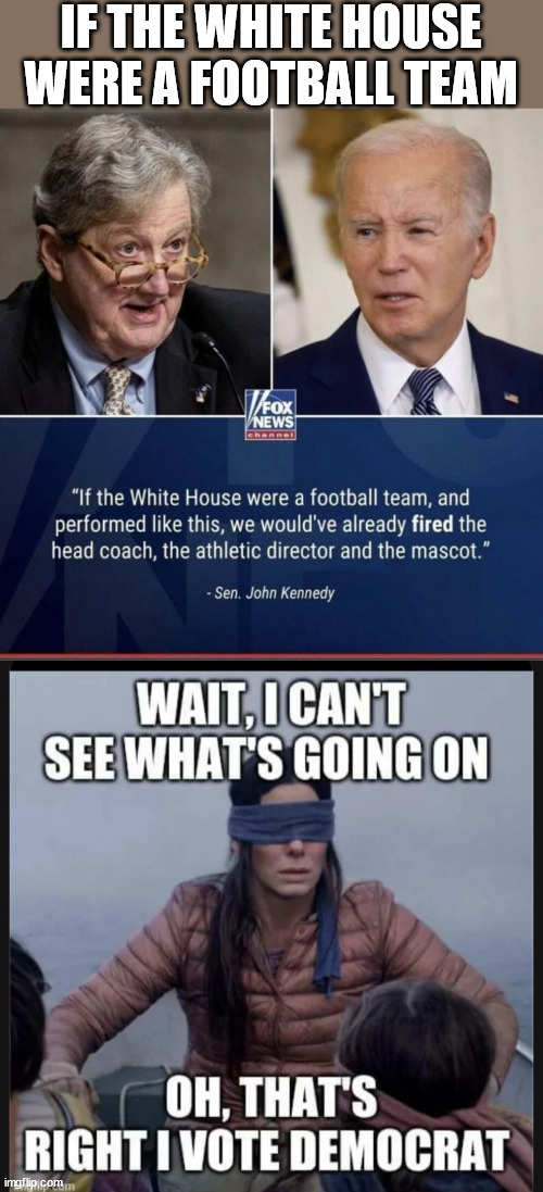 If the White House were a football team...they'd fit right in, in the National Felons League | IF THE WHITE HOUSE WERE A FOOTBALL TEAM | image tagged in white house,national felons league | made w/ Imgflip meme maker