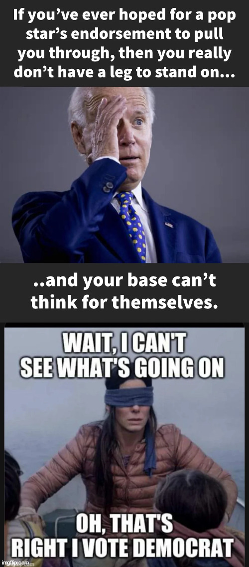 Watch for dems to try to lower the voting age to 12 | image tagged in desperate times,democrats,really nervous,running out of options | made w/ Imgflip meme maker