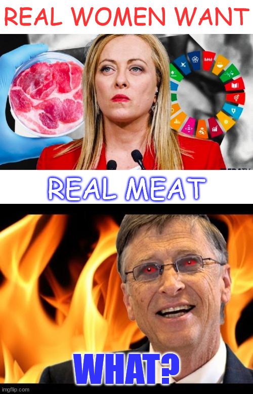 Italy bans fake meat | REAL WOMEN WANT; REAL MEAT; WHAT? | image tagged in bill gates evil devil,italy,bans,fake meat | made w/ Imgflip meme maker