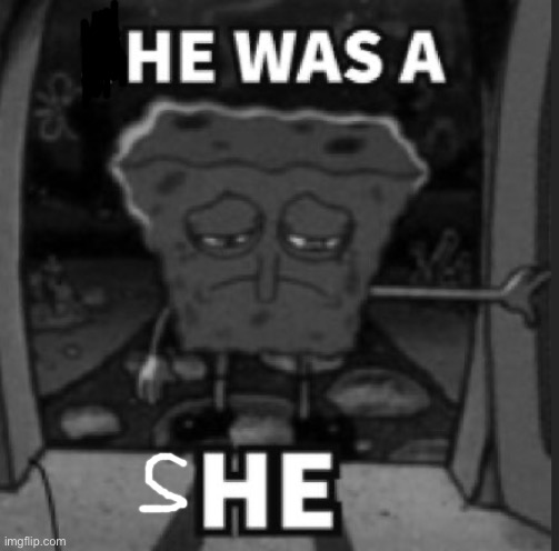 She was a he | image tagged in she was a he | made w/ Imgflip meme maker