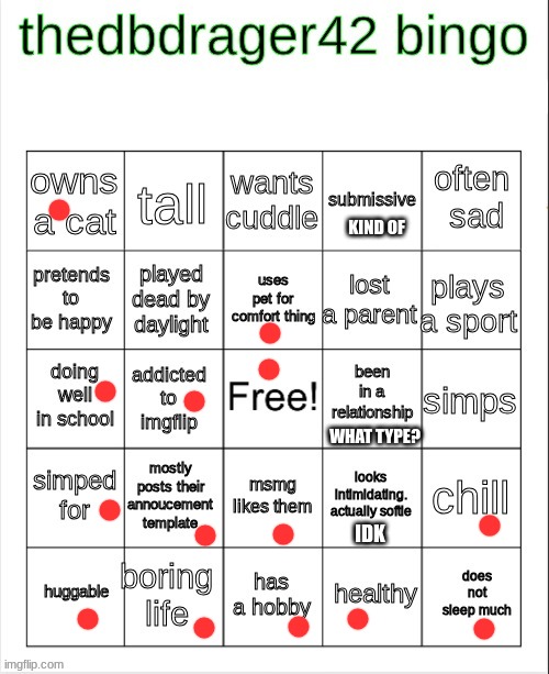 thedbdrager42 bingo | KIND OF; WHAT TYPE? IDK | image tagged in thedbdrager42 bingo | made w/ Imgflip meme maker