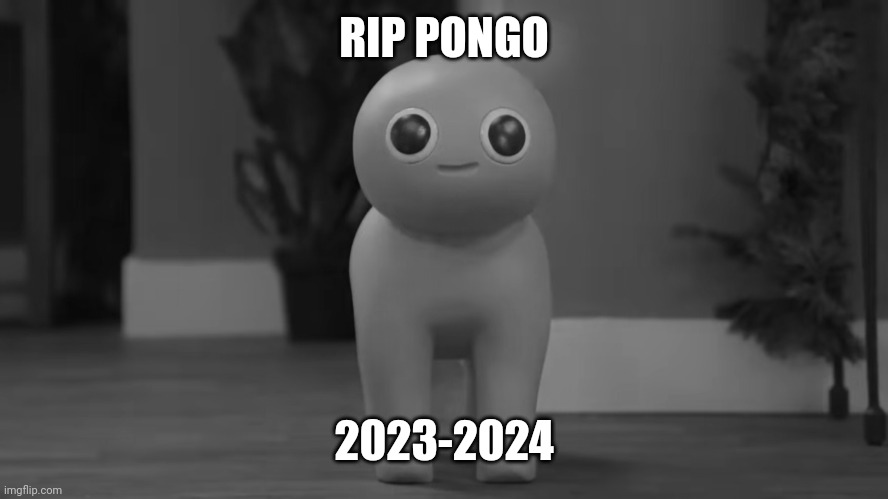 Pongo | RIP PONGO; 2023-2024 | image tagged in pongo | made w/ Imgflip meme maker