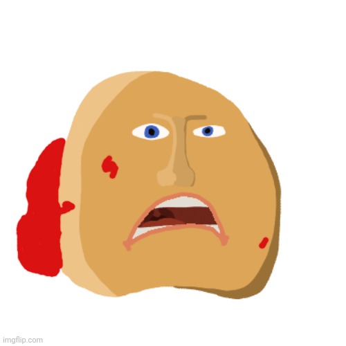 Shokked nugged | image tagged in shokked nugged | made w/ Imgflip meme maker