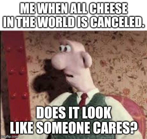 Cheese realization | ME WHEN ALL CHEESE IN THE WORLD IS CANCELED. DOES IT LOOK LIKE SOMEONE CARES? | image tagged in surprised wallace | made w/ Imgflip meme maker