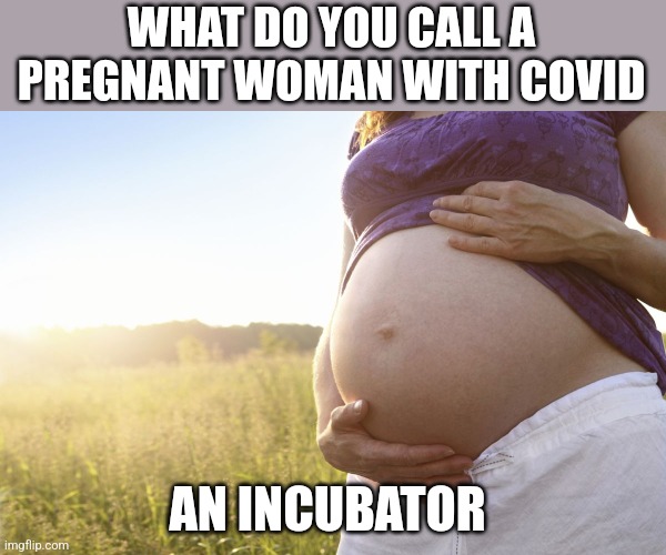 pregnant-woman-imgflip