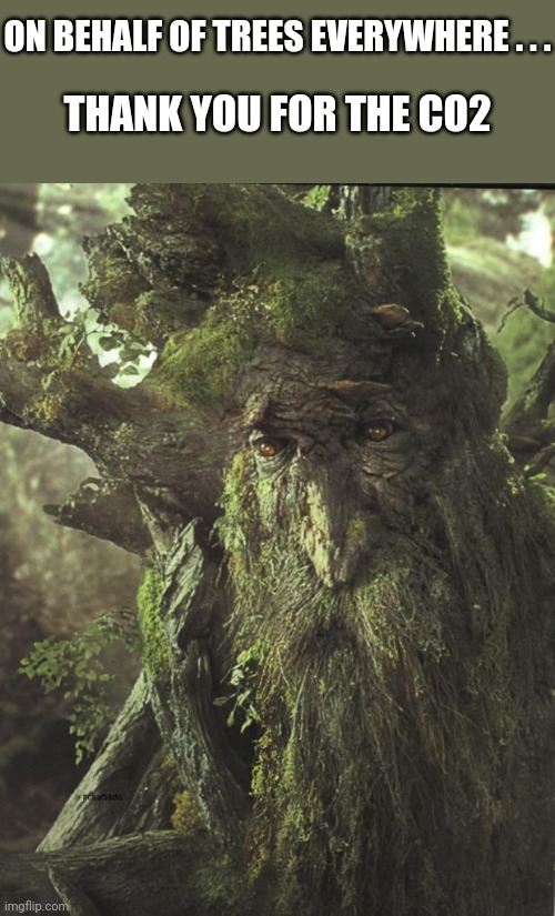 Tree Beard | ON BEHALF OF TREES EVERYWHERE . . . THANK YOU FOR THE CO2 | image tagged in tree beard | made w/ Imgflip meme maker