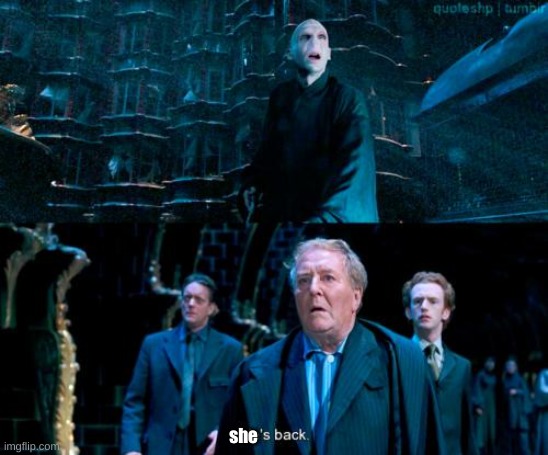He's back | she | image tagged in he's back | made w/ Imgflip meme maker