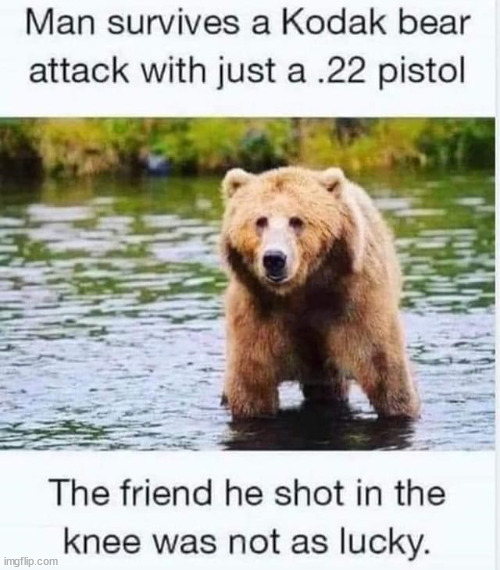 Lucky | image tagged in repost,lucky,survivor,bear attack | made w/ Imgflip meme maker