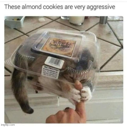 Furball cookies | image tagged in repost,furball cookies | made w/ Imgflip meme maker