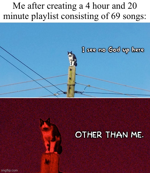 This is based on a true story | Me after creating a 4 hour and 20 minute playlist consisting of 69 songs: | image tagged in memes,cat,god,true story,playlist | made w/ Imgflip meme maker