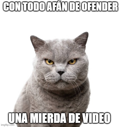 Con todo afán de ofender, una mierda de vídeo | CON TODO AFÁN DE OFENDER; UNA MIERDA DE VIDEO | image tagged in gato,enojo,ofender | made w/ Imgflip meme maker