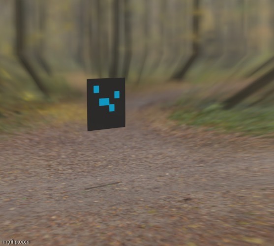 I'm taking a walk in the woods behind the house, might find some mushrooms idk | made w/ Imgflip meme maker