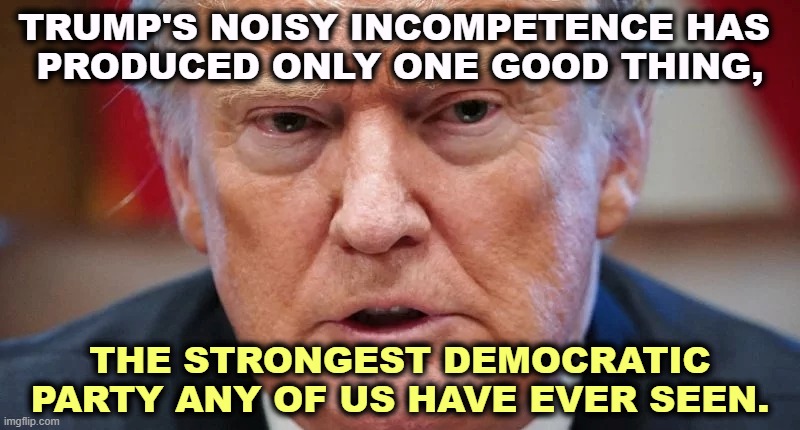 Failure. | TRUMP'S NOISY INCOMPETENCE HAS 
PRODUCED ONLY ONE GOOD THING, THE STRONGEST DEMOCRATIC PARTY ANY OF US HAVE EVER SEEN. | image tagged in trump dilated angry confused,trump,loud,bullying,failure | made w/ Imgflip meme maker