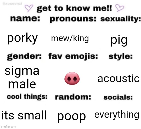 mhm | porky; mew/king; pig; 🐽; acoustic; sigma male; everything; poop; its small | image tagged in get to know me but better | made w/ Imgflip meme maker