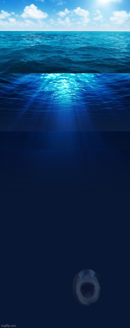 Underwater | image tagged in underwater,msmg lake,mildesmallington lake | made w/ Imgflip meme maker