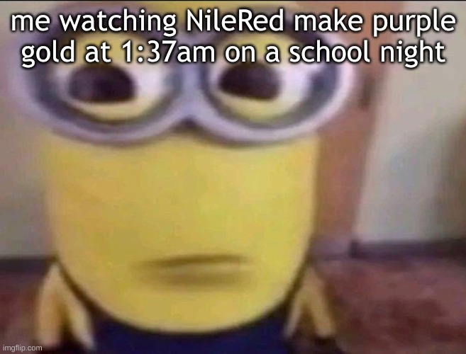 Minion Stare | me watching NileRed make purple gold at 1:37am on a school night | image tagged in minion stare | made w/ Imgflip meme maker