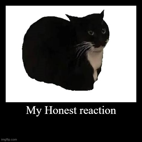 My Honest Reaction | My Honest reaction | | image tagged in funny,demotivationals | made w/ Imgflip demotivational maker